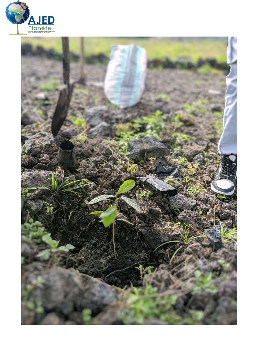 🌍 Journée mondiale de l'environnement 05 juin 🌳

Dans ce monde en grand danger
Notre planète en souffrance se meurt
Il est temps de prendre des mesures
Et de protéger notre terre en danger