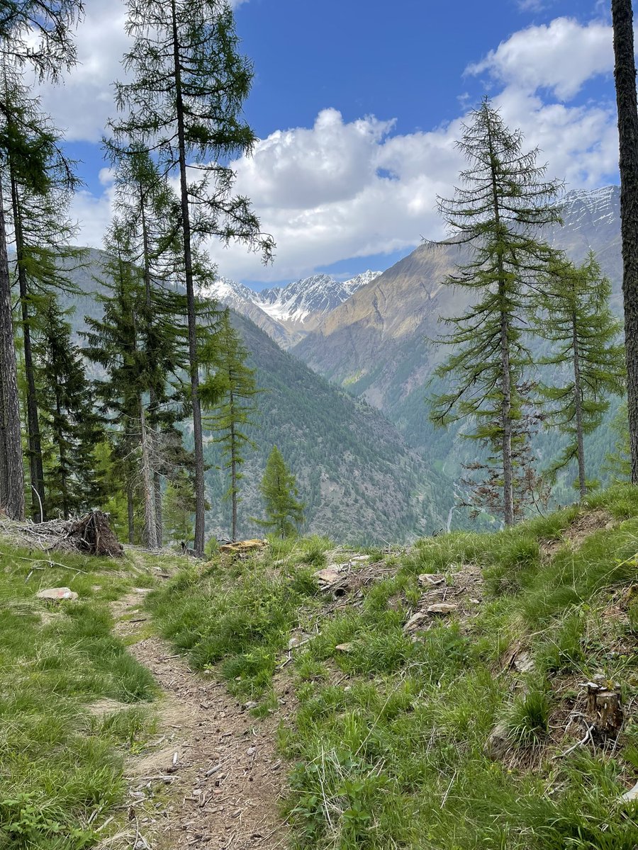 A great finish to the Karthaus summer school 2023. Last two weeks have been all about ice and climate, an excellent learning experience, and a quality time into the wild. Met so many amazing people. At the end, Karthaus is not just a summer school, it is an emotion!