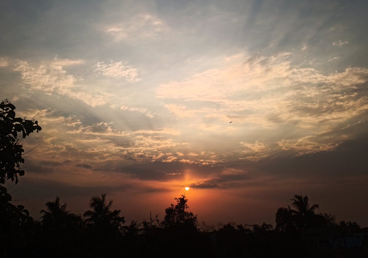 Sunset 🌇 🧡

#nature #natureshots #naturelovers #naturephotography #clouds #sunset #photo #phoyography #photographylovers #photoeveryday #photodaily #sunsetphotography #sunsetlovers #sunsets #sunset_pics #India