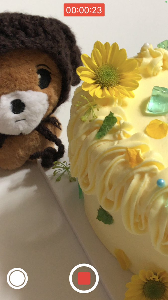 형아 생일 축하해요
-동배