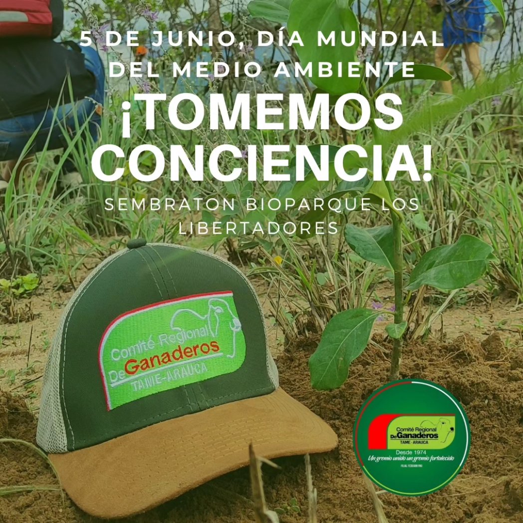 Comité Ganaderos Tame tweet media