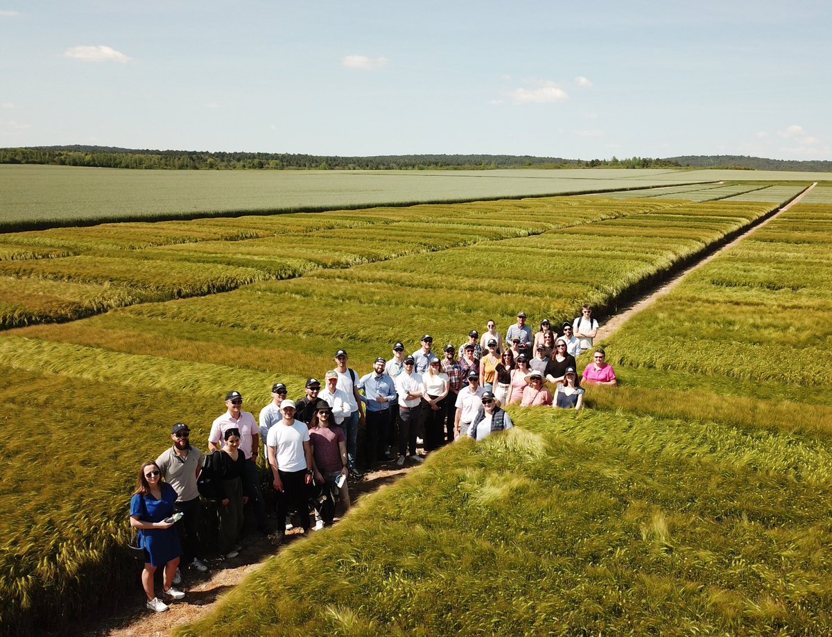 June 1st was our annual meeting in the barley trial fields. 🌾

Head office teams were invited to (re)discover the various barley varietal selection on site.

#Malteurop #barley #malt #beer #trial #fields #varietalselection