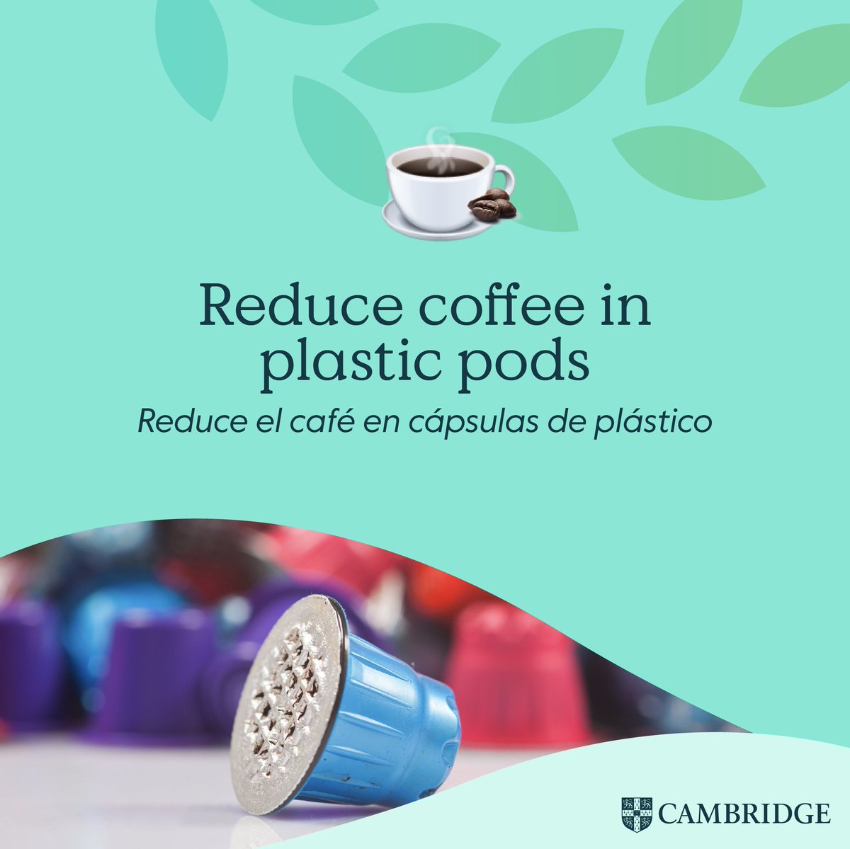 Cambridge English Spain on Twitter "Today is WorldEnvironmentDay and this year the main theme