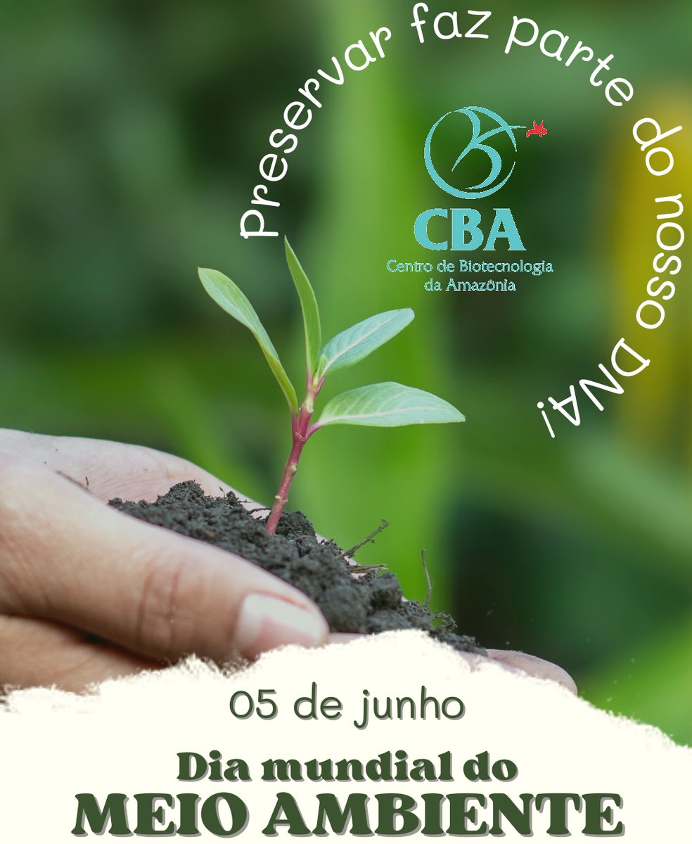 CBA (@cbaoficialam) on Twitter photo 