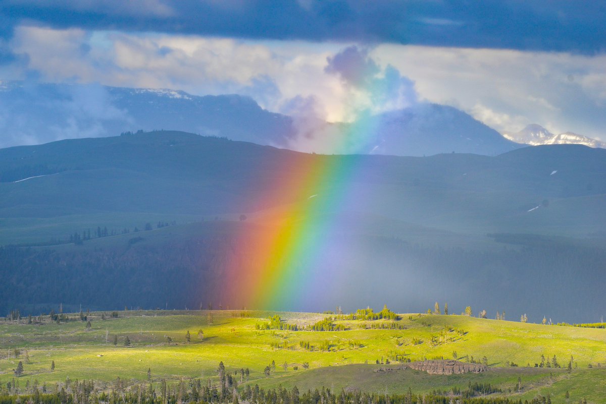 Somewhere over the rainbow in #LamarValley @YellowstoneNPS.

#rainbows #yellowstone #yellowstonenationalpark #wywx #weather #valley #mountains #photography #utphoto #happywandererscott #travel #rain #wyoming #somewhereovertherainbow