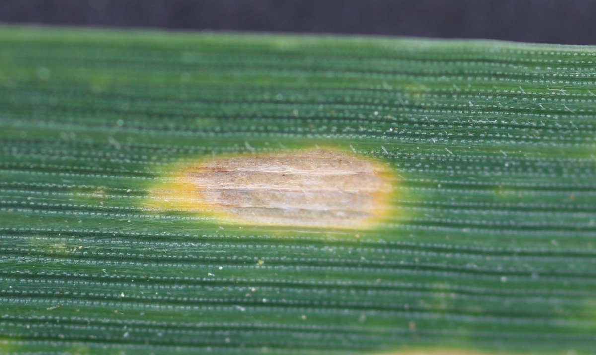 Simon Goodger tweet media