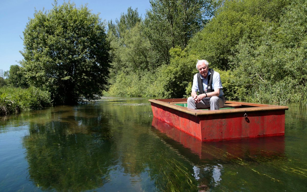 PatriciaBorns's tweet photo. @Feargal_Sharkey We watched Wild Islas to whet our appetite for an upcoming UK hiking trip and became enamored with chalk streams. We'd like to adjust our plans to hike near at least one. Do you know which Wiltshire stream was used to film Attenborough's intro to Freshwater? Many thanks. https://t.co/FeuI9cMqrr