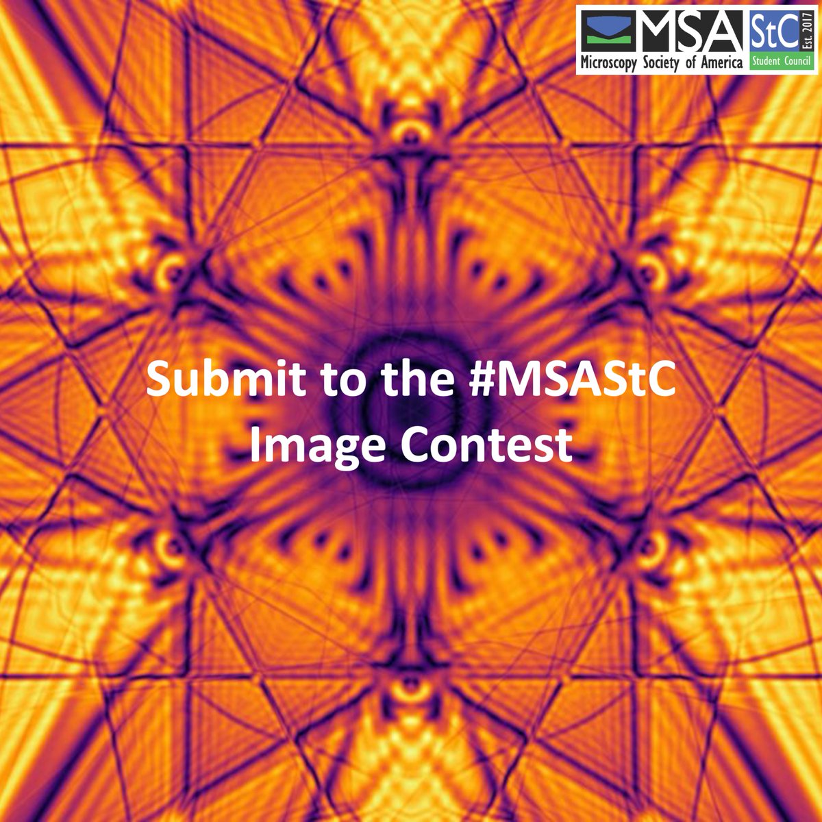 MSA Student Council tweet media