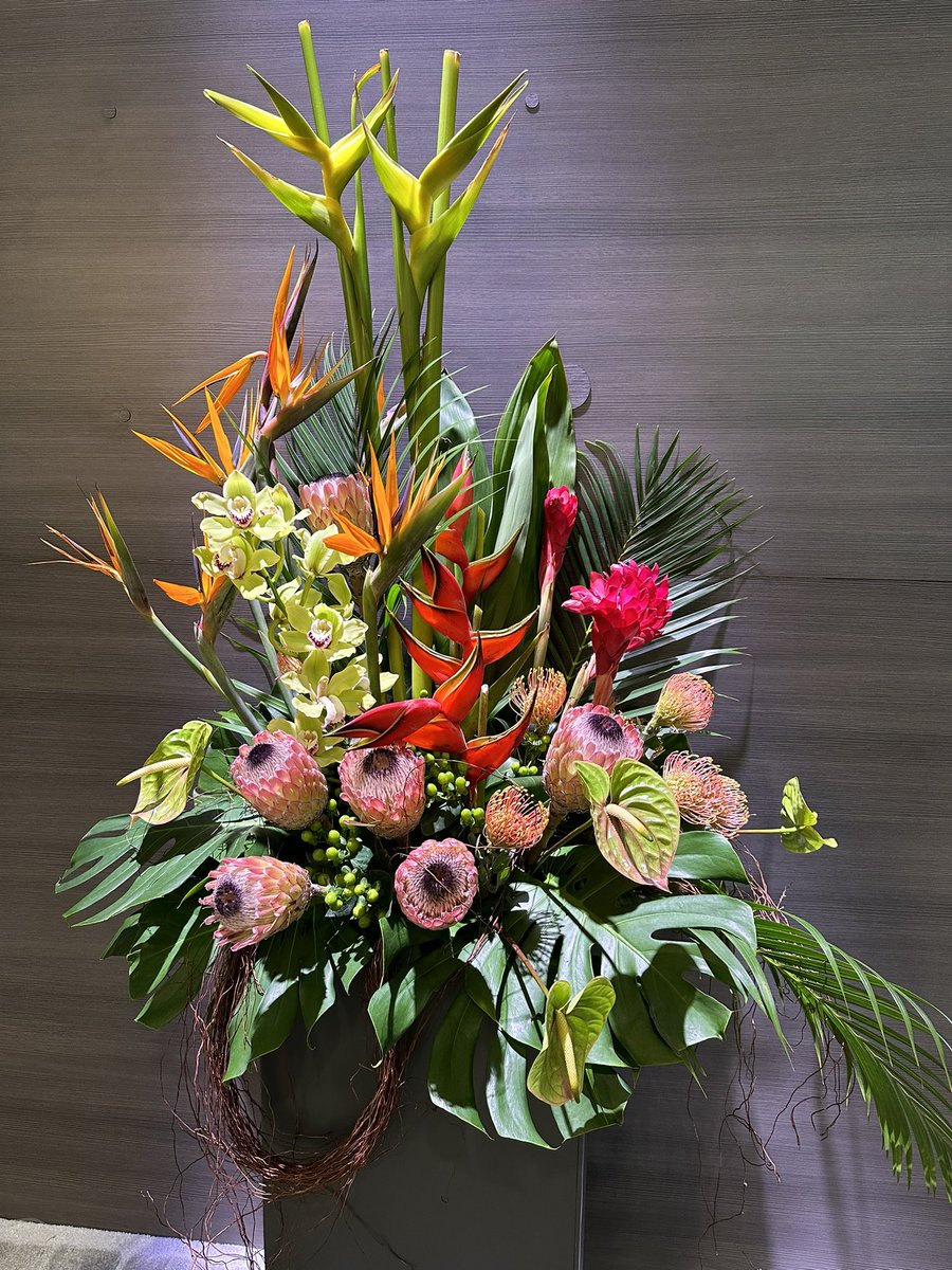 DrDespina123's tweet photo. #flowerdisplays of #ASCO23
Can’t take the #centerpiece home…
@TakedaPharma @SanofiUS @ExelixisInc #ASCO23 https://t.co/sgjlk5lNiS