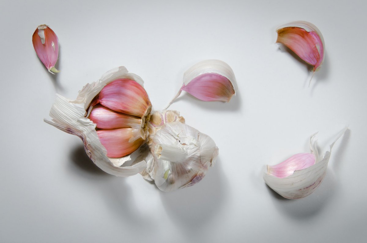 🧄Not just for keeping vampires away, garlic can provide a useful and easy-to-source resource for the biology lab, for looking at topics including mitosis and the cell cycle. 🧄

👀saps.org.uk/teaching-resou… 

#GYOforWellbeing #plantsci #growyourown