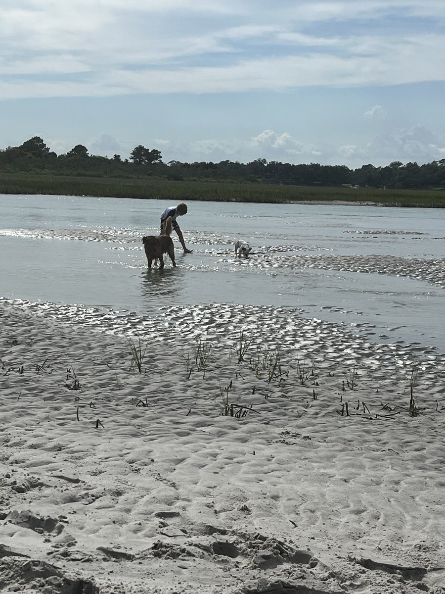 CharlotteGelet1's tweet photo. Summer is happy place and my city slicker kids LOVE the Carolina marsh. Happy summer. #optoutside #goalsthatmatter https://t.co/eShiQDGkgJ