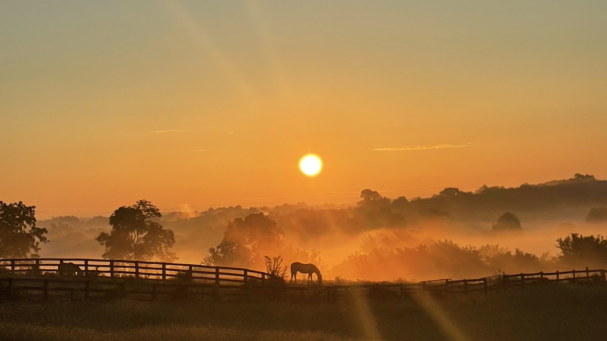 A golden Kentucky morning, by @mcclanahanjanet