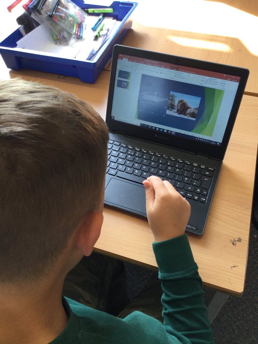 Hillview Primary School & Early Years tweet media