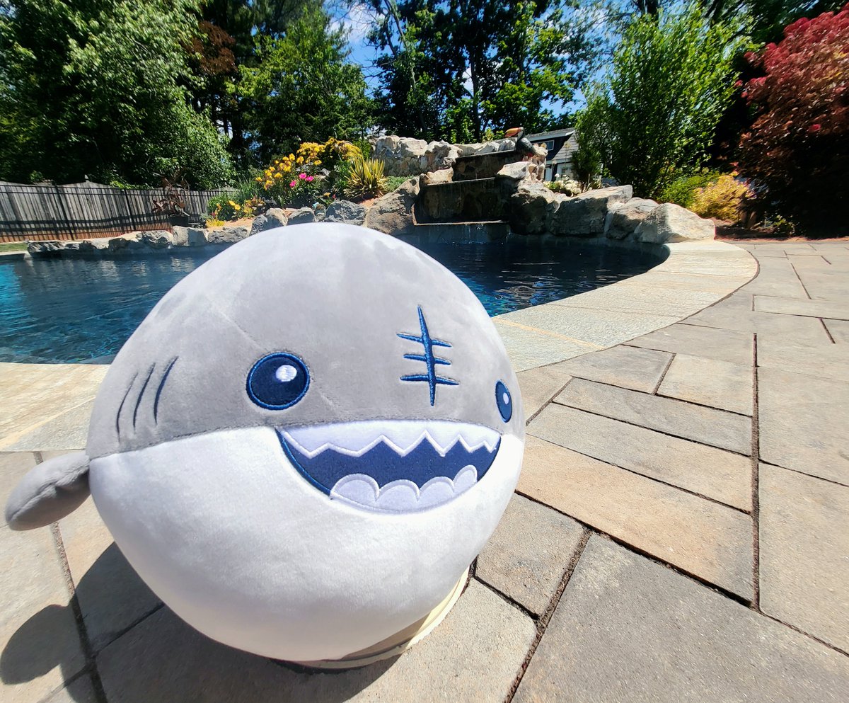 Chilling by my boyfriend's pool with my new Shark plush from RoundOne