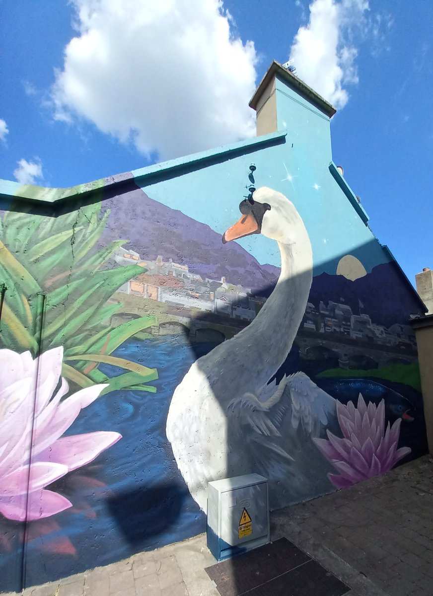 Cute mural 🦢 #Killorglin #Kerry