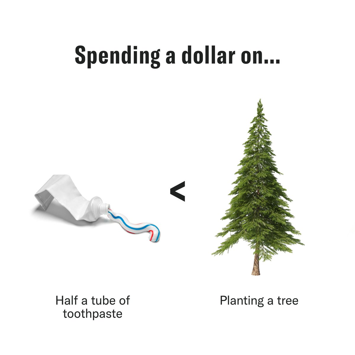 Half a tube? For $1? If you’re lucky. (Good thing planting a 🌲 with @onetreeplanted is just $1, though.) This World Environment Day, join the cause at bit.ly/3VifqRz. #onetreeplanted #sustainableforestry #sustainablepaper