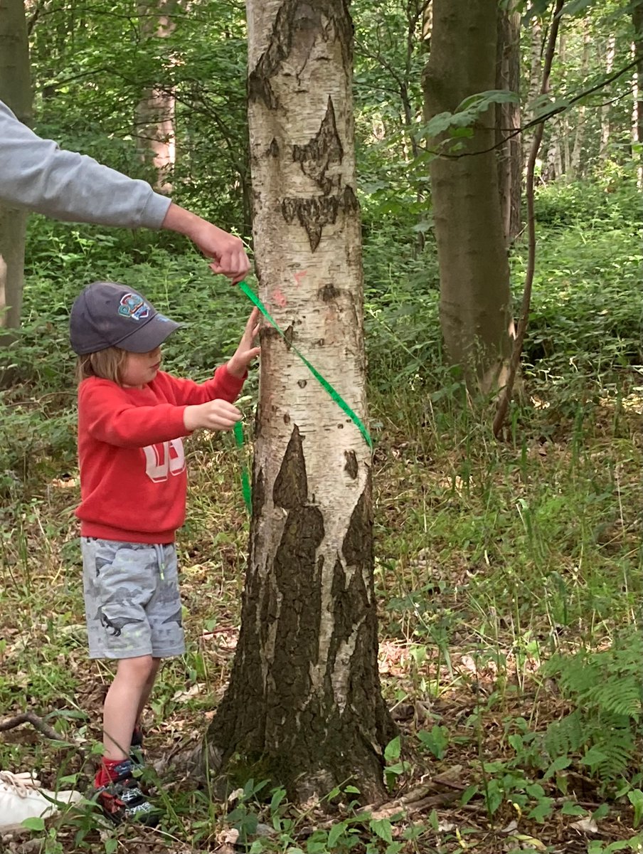 Haggelettes Forest School have been measuring trees to estimate their age, making their own wind chimes and painting with mud today! Great exploring everyone! #preschooleractivity #forestschool Does your preschooler love nature? eventbrite.co.uk/e/haggelettes-…