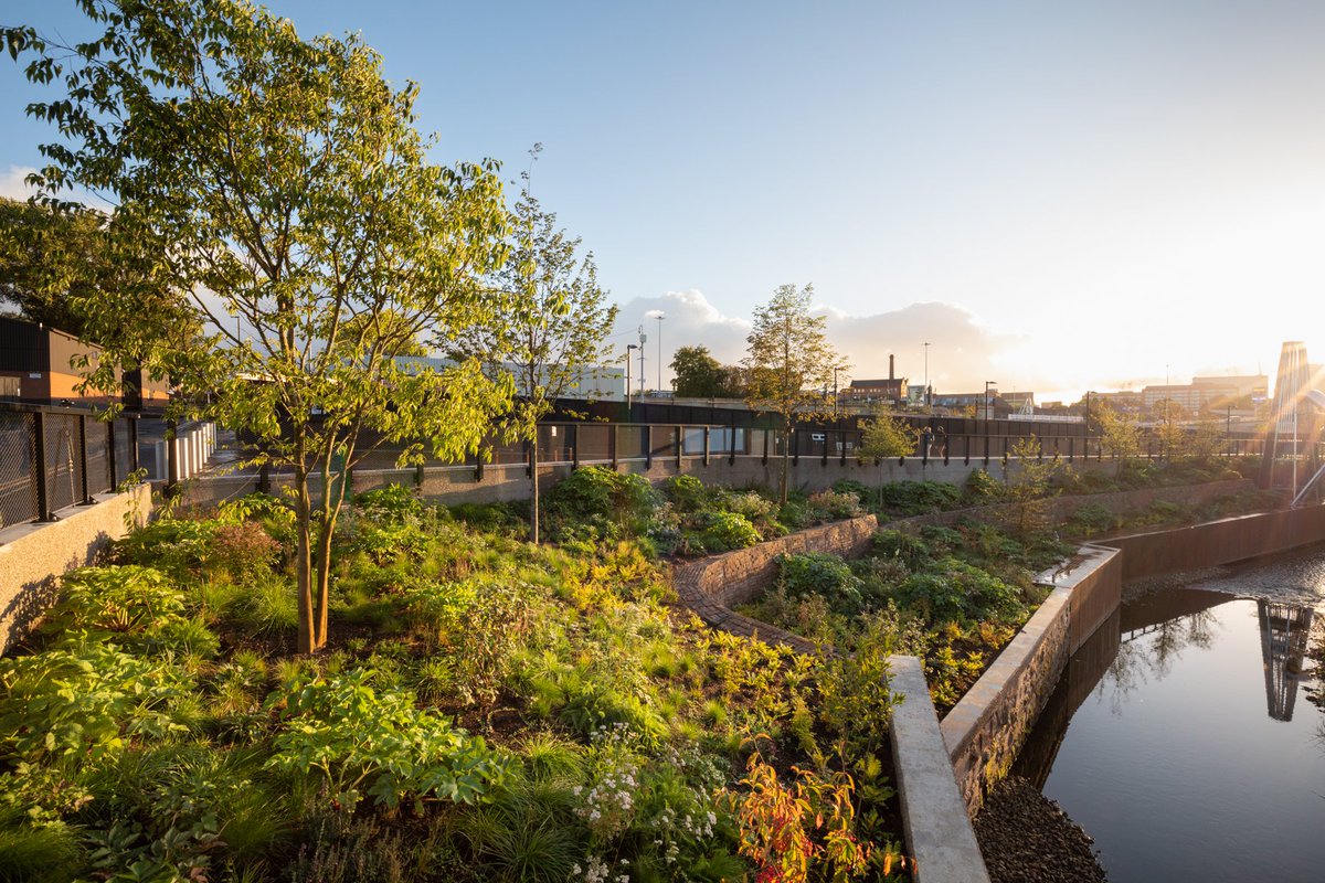 Happy #WorldEnvironmentDay🍃 We love this year's theme of #EcosystemRestoration at Mayfield Park, where we brought the previously-covered Medlock River back into view, encouraging plants & #wildlife to make the park their home for years to come 🌳🐝🐞 📸Richard Bloom