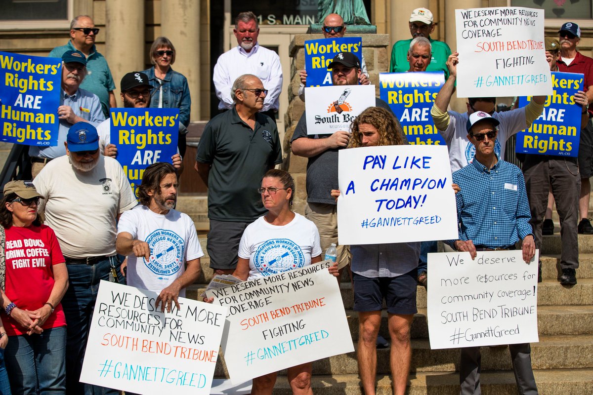 Michael Caterina tweet media