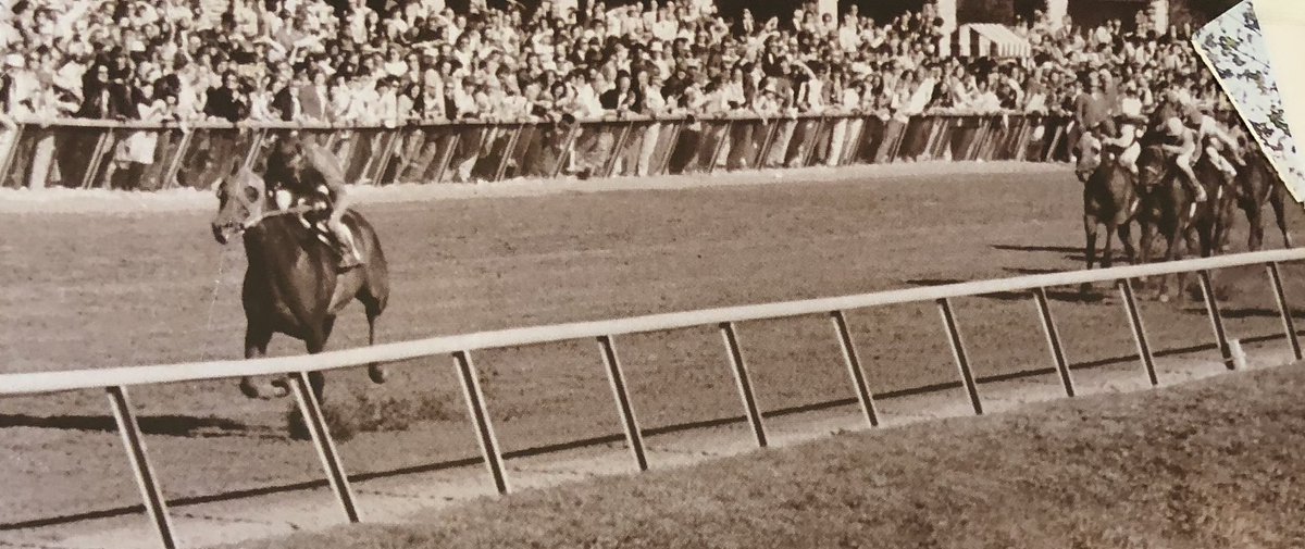 Alydar’s finish in the 1978 Bluegrass Stakes.
