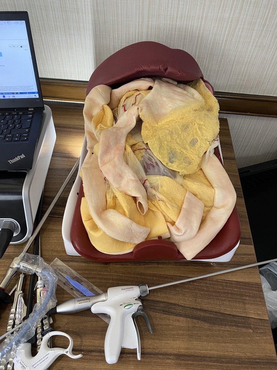 Martin Wadley 🇬🇧🇺🇦🦁☀️🇮🇷 tweet media