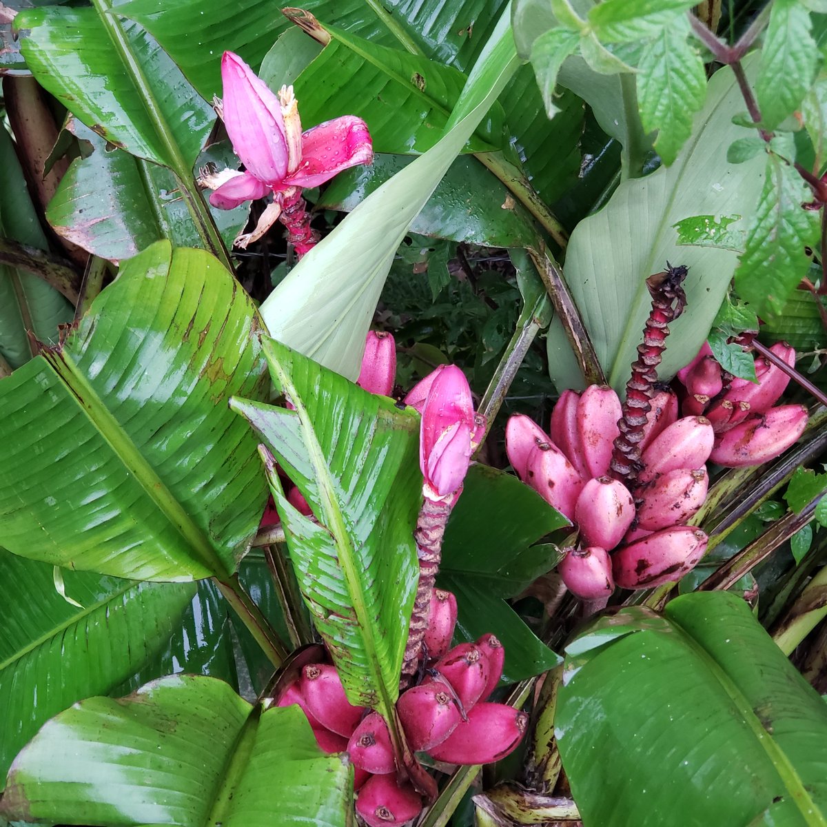 Happy #WorldEnvironmentDay2023 What are you doing to take care of our beautiful planet?