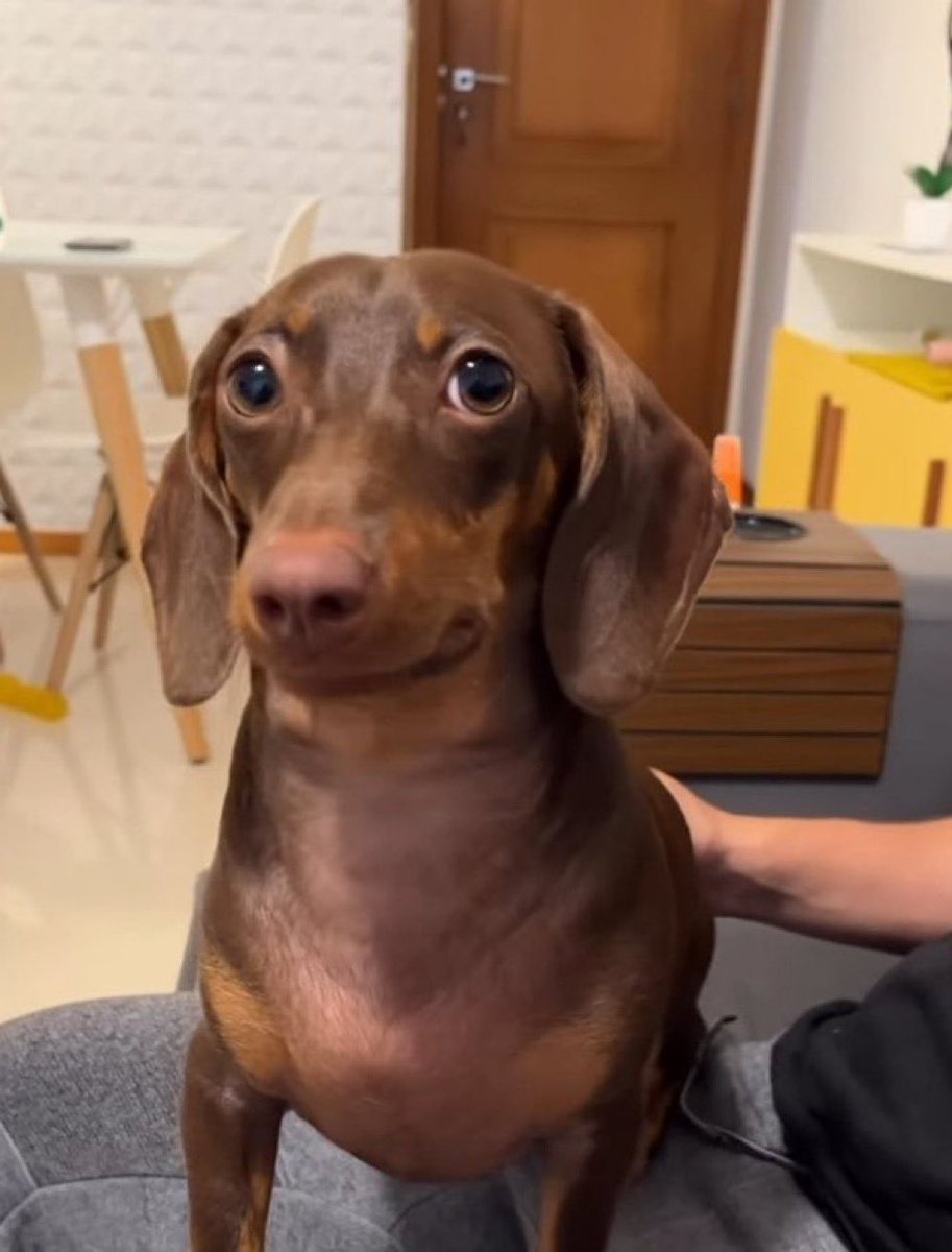 phase_fi's tweet image. I know you've been leverage trading.