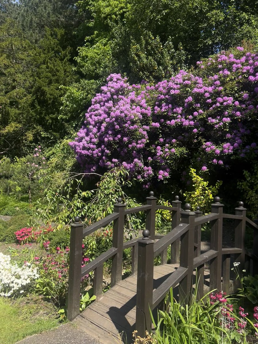 PTCentres's tweet image. It’s a gorgeous day in Harrogate to welcome our new Patients.  It’s also an ideal day for admiring the surroundings and getting your steps in.☀️

#BigStepChallenge