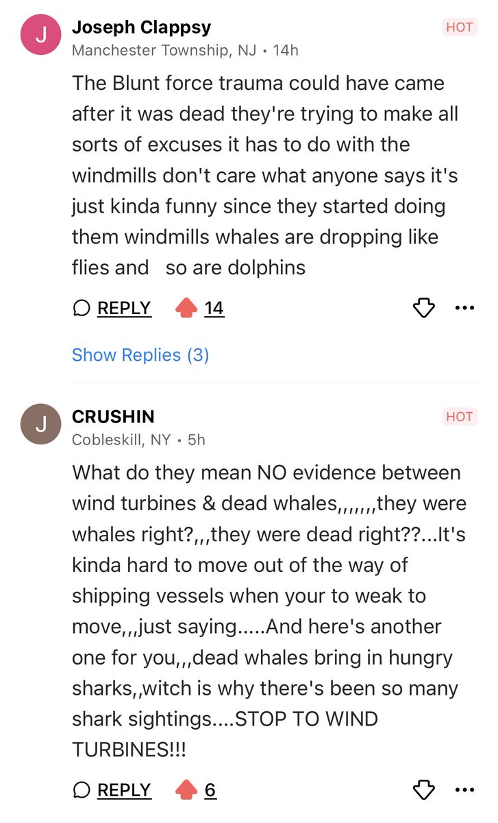 This is what people think about the wind turbines - we think they’re the cause- bc THEY ARE! You’re not fooling anyone! #NJ @EPA @EPAwater @EPAresearch @ScienceMagazine @GovMurphy @RonDeSantis you want to be president Ron? Why should NJ vote? Show us- Save the whales!
 @NJGovNews