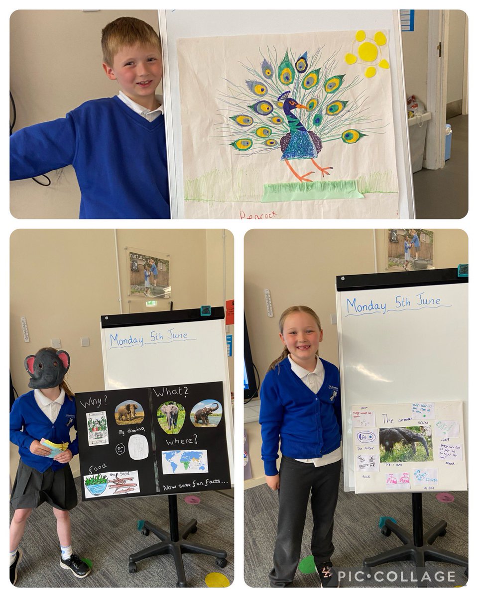 MissMorrow96's tweet photo. Well done to these P3’s for presenting their animal talks to the class. Your talks were amazing and I am so proud of you all. I can’t wait to hear some more tomorrow ⭐️ @standrewsFCRC https://t.co/Q1BJXKB33U