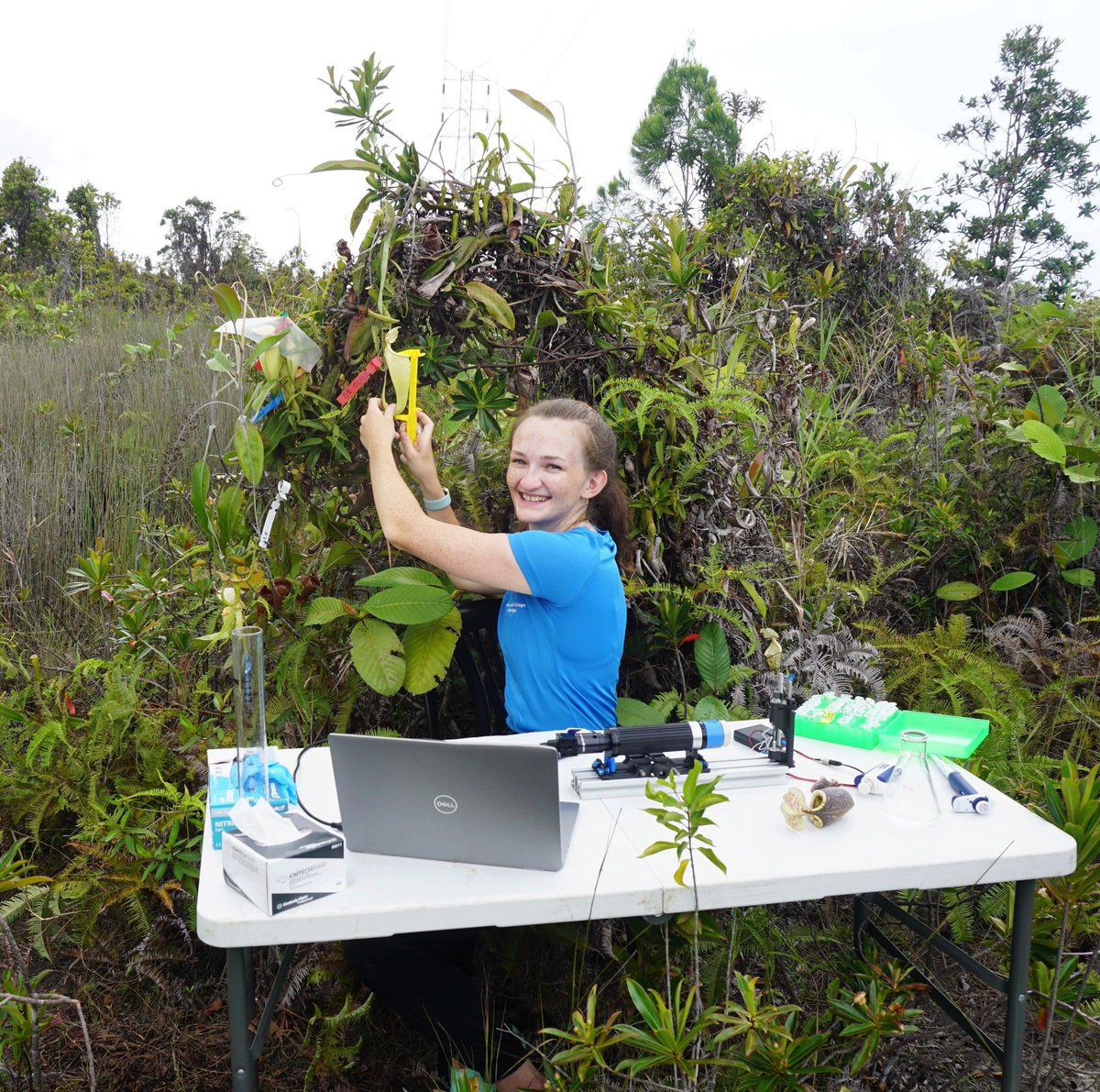 Teachers love hearing about what their students have been inspired to do and so it was great to catch up with alumna Charlotte and find out how her Physics lessons at Truro High have led to her carrying out ground-breaking research in the jungles of Borneo.