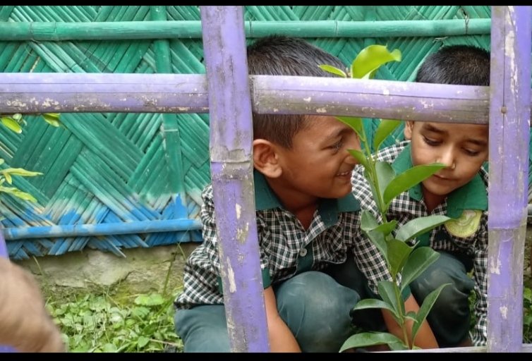 B99861963Masuda's tweet photo. # আজি বিশ্ব পৰিৱেশ দিৱস উপলক্ষে, "অধ্যায়ন একাডেমী খলিহামাৰী " (senior secondary school) ত ছাত্র ছাত্রী সকলে গছ পুলি ৰোপণ কৰিছে। 🌳 https://t.co/N6VFJSolX3