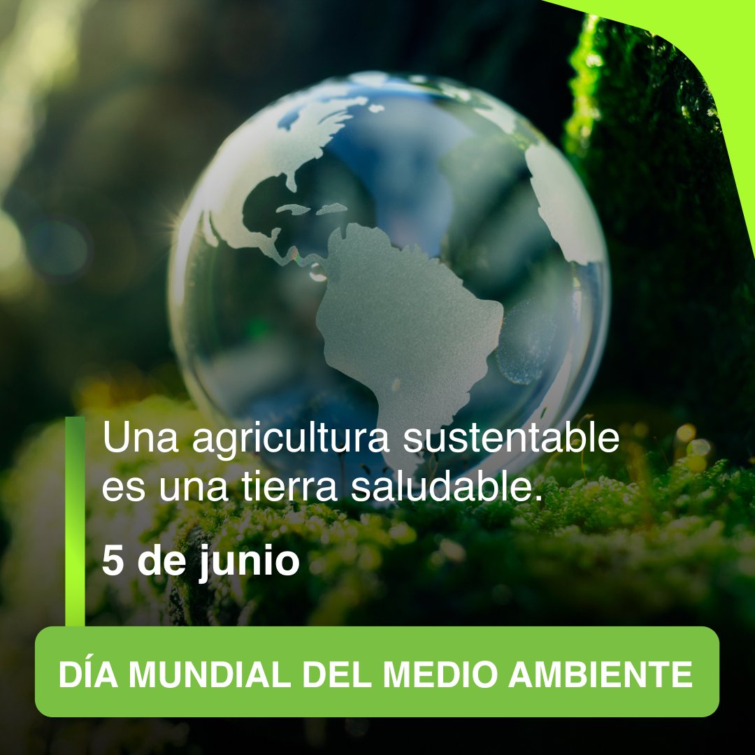 Vitala_TV's tweet photo. Con agricultura sustentable es posible producir alimentos de forma responsable, reduciendo los residuos y las emisiones de gases de efecto invernadero. #DíaMundialDelMedioAmbiente https://t.co/f5Ig6iNasV