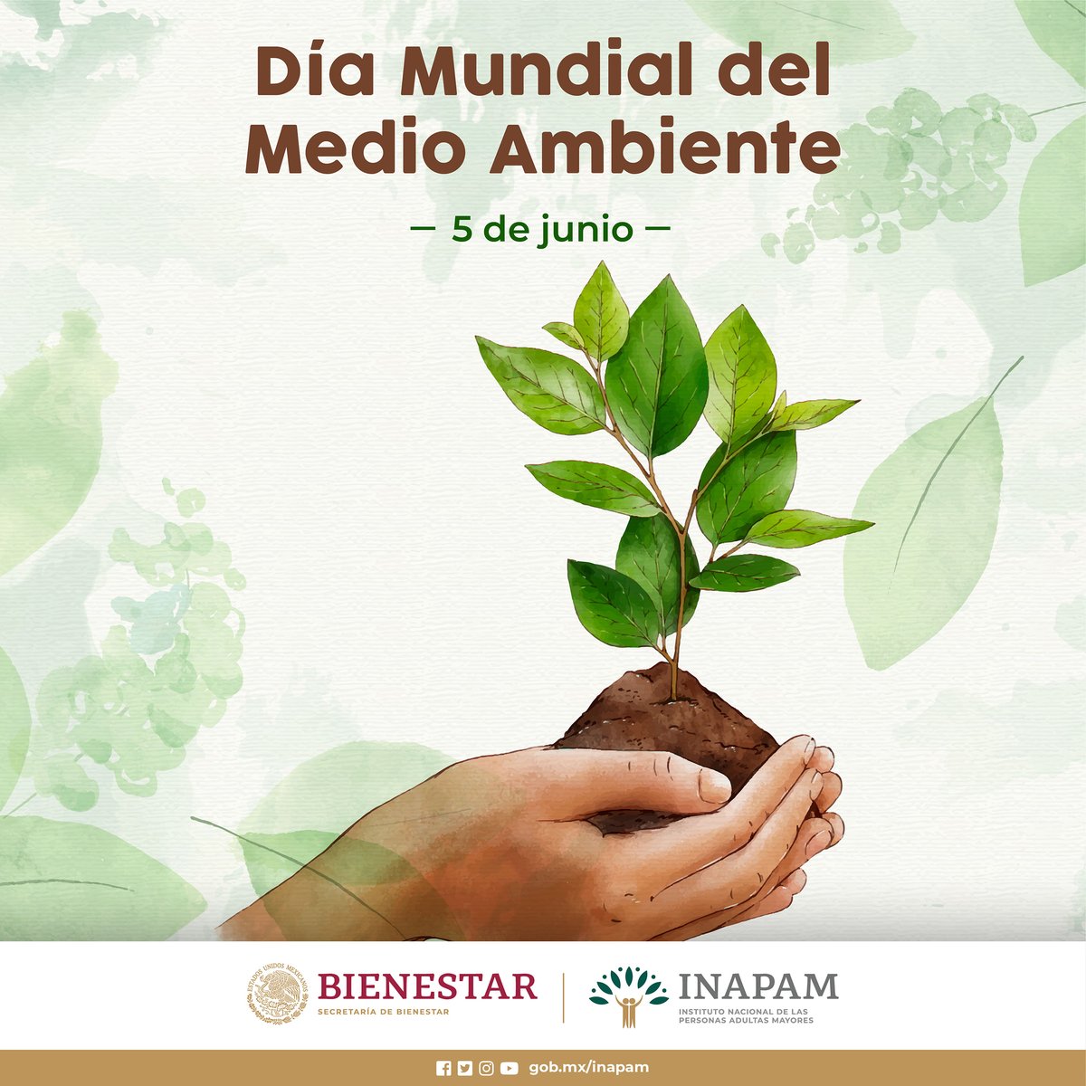#FelizLunes #CuidaElPlaneta promueve acciones para su preservación, es responsabilidad de todos la protección y la salud del #MedioAmbiente
@SEMARNAT_mx
@SEDEMA_CDMX
@CONANP_mx
@CONAFOR