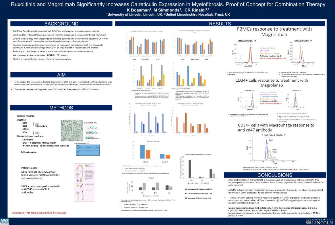 CONGRESS | #ASCO23| Poster Ciro Rinaldi (@tamaciro) of @unilincoln shared insights into the invitro effects of ruxolitinib and magrolimab reducing overall cell survival rate in CD34+ MF samples, and significantly increasing calreticulin expression #MPN #MPNsm #medicalcongress