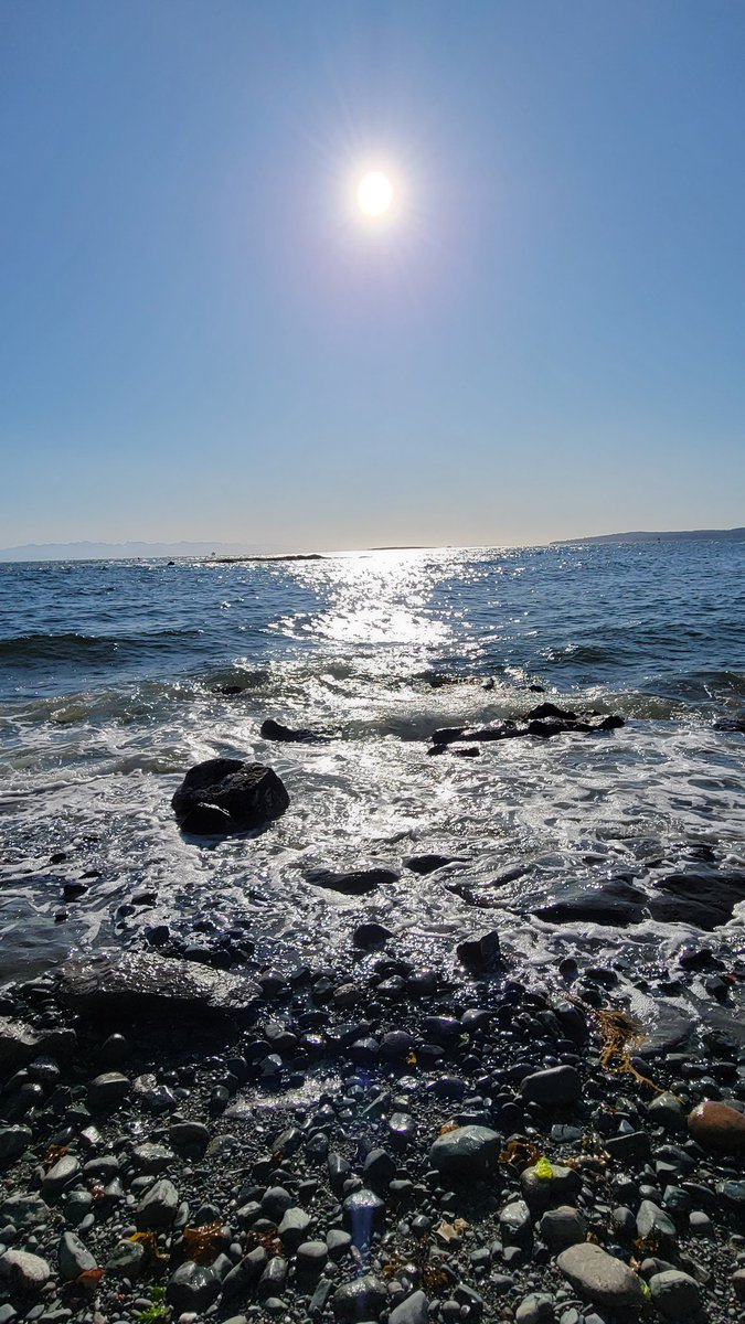 It's a big week for my Outside of the Circle business this week, so I am setting the week up with some early morning quiet time at the beach.
#WomenInBusiness #selfcare