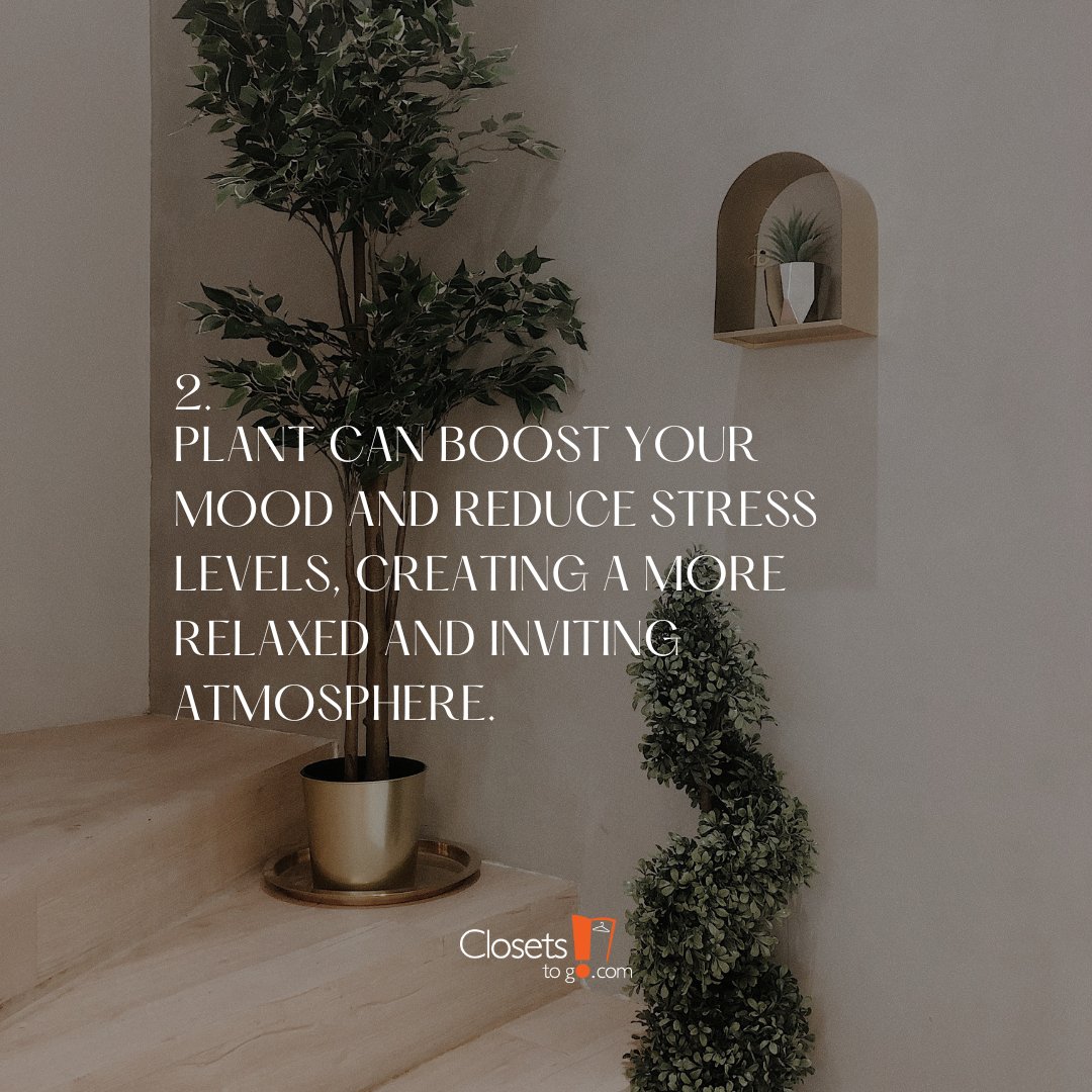 ClosetsToGo's tweet image. Plants are not only beautiful to look at, but they also offer numerous benefits to your space. Here are some reasons why using plants to decorate your space is a great idea! #ClosetsToGoTips #PlantDecor #HomeDecor #HomeDecoration