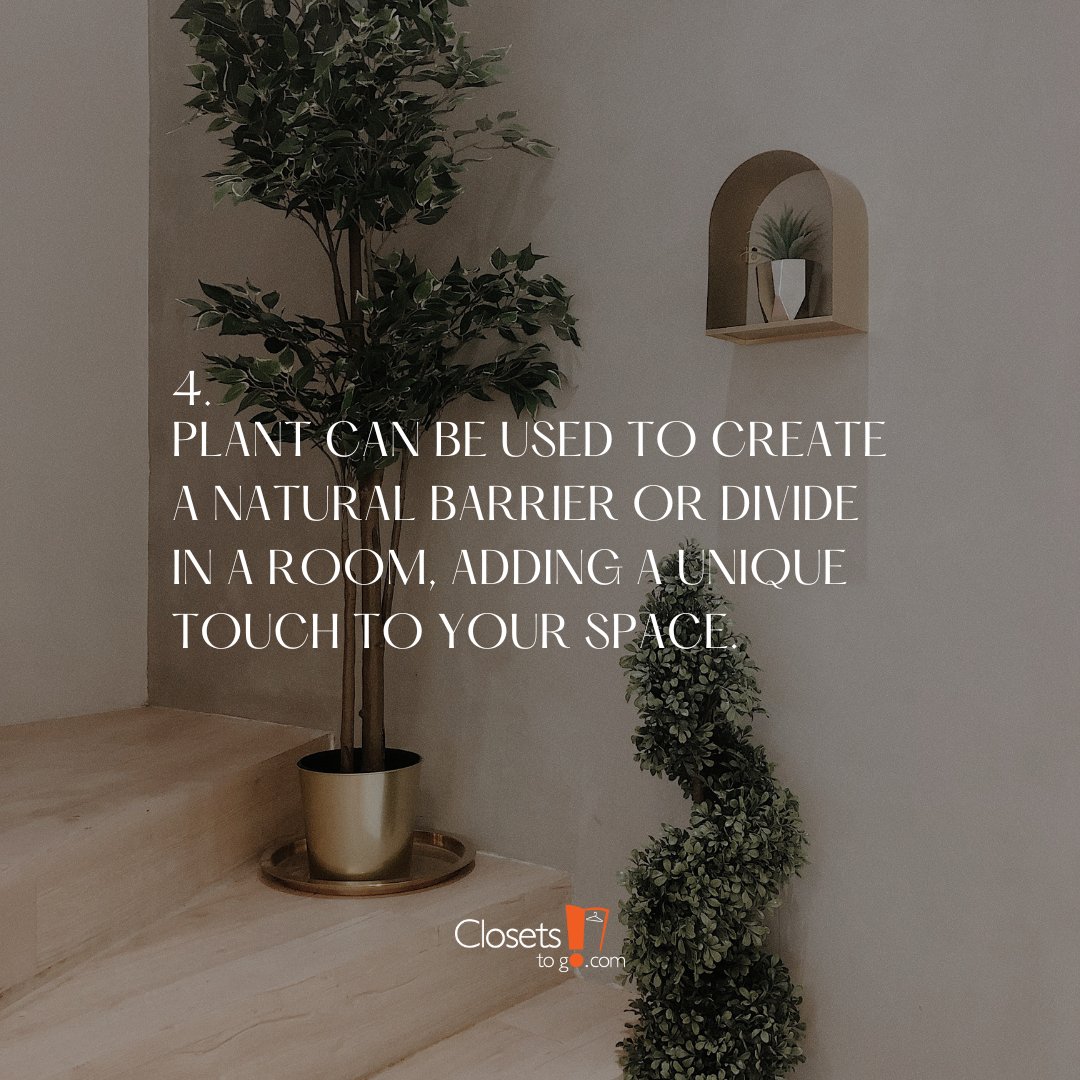 ClosetsToGo's tweet image. Plants are not only beautiful to look at, but they also offer numerous benefits to your space. Here are some reasons why using plants to decorate your space is a great idea! #ClosetsToGoTips #PlantDecor #HomeDecor #HomeDecoration