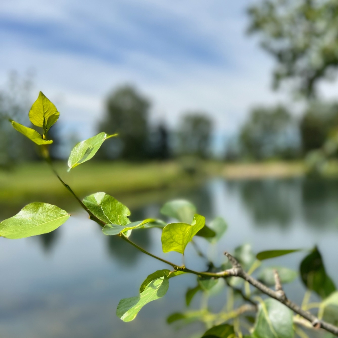 AliveBiotech's tweet photo. It's #WorldEnvironmentDay! 🌎

Join us in creating a sustainable way to take care of our planet 💚

#EnvironmentDay #Sustainability #Natural https://t.co/Nd1Dhuizj1