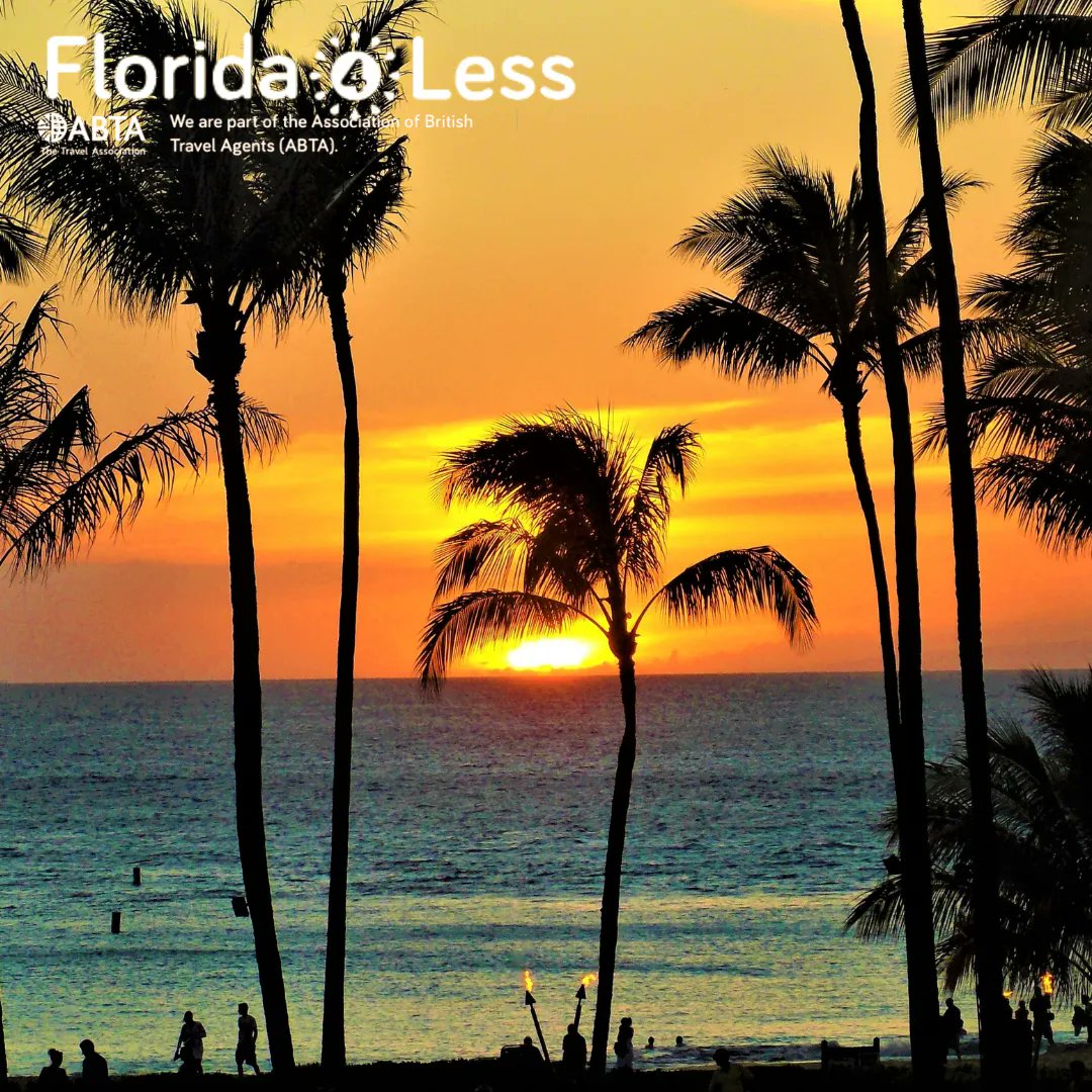 Florida4less tweet picture