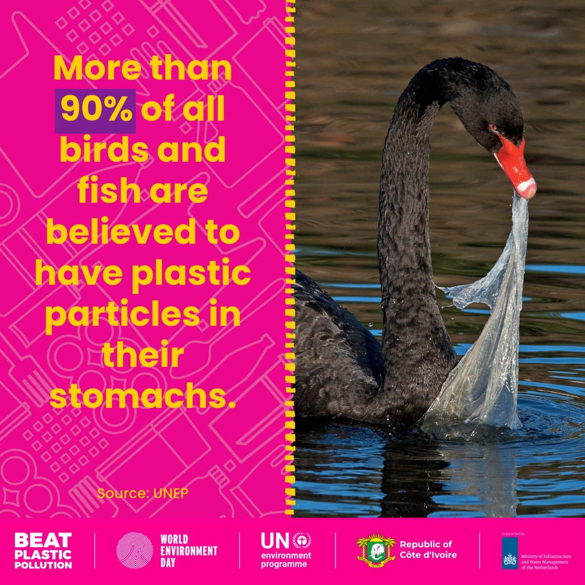 United Nations (@un) on Twitter photo By 2050, there could be more plastic than fish in the ocean.
By reducing, reusing & redesigning the way we produce and consume plastic, we can #BeatPlasticPollution and protect nature.
More from <a href="/UNEP/">UN Environment Programme</a> on Monday’s #WorldEnvironmentDay: worldenvironmentday.global By 2050, there could be more plastic than fish in the ocean.
By reducing, reusing & redesigning the way we produce and consume plastic, we can #BeatPlasticPollution and protect nature.
More from <a href="/UNEP/">UN Environment Programme</a> on Monday’s #WorldEnvironmentDay: worldenvironmentday.global