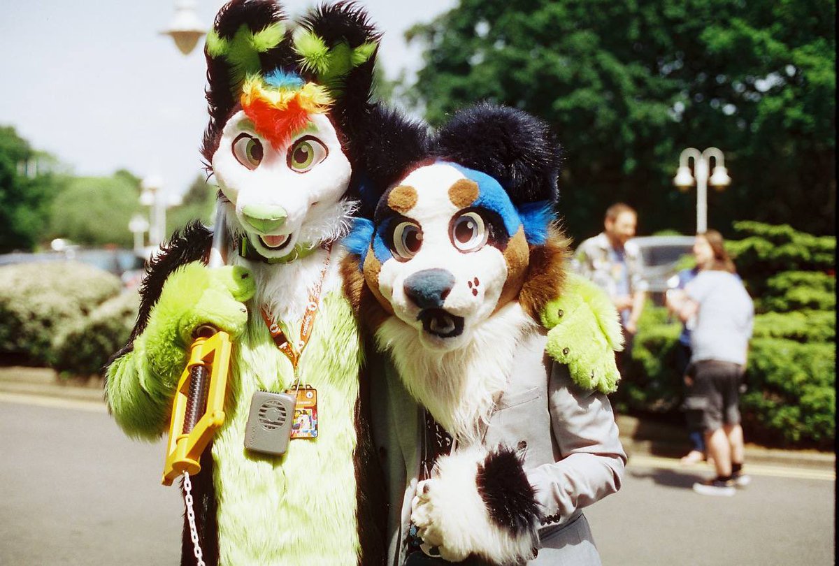 Lovely seeing Felix in 35mm film for the first time ☺️ 

📸: @HuxleySpaniel 
🐶: <a href="/CollieBenny/">Benny</a> 

#furry #Fursuit #CFz2023 #Confuzzled2023