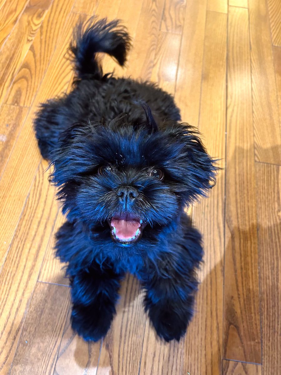 Lemonceillo Home & Gift ππ (@lemonceillo) on Twitter photo Wildly unique and fun gifts for dad this Fatherβs Day! Pop into <a href="/Lemonceillo/">Lemonceillo Home & Gift ππ</a> Home & Gift and meet our new shop dog, BEAR, who photobombed todayβs post.ππ» Find us on 9th Avenue SE, in the heart of Calgaryβs historic Inglewood. ππ #shoplocalyyc #inInglewood #inglewoodyyc Wildly unique and fun gifts for dad this Fatherβs Day! Pop into <a href="/Lemonceillo/">Lemonceillo Home & Gift ππ</a> Home & Gift and meet our new shop dog, BEAR, who photobombed todayβs post.ππ» Find us on 9th Avenue SE, in the heart of Calgaryβs historic Inglewood. ππ #shoplocalyyc #inInglewood #inglewoodyyc