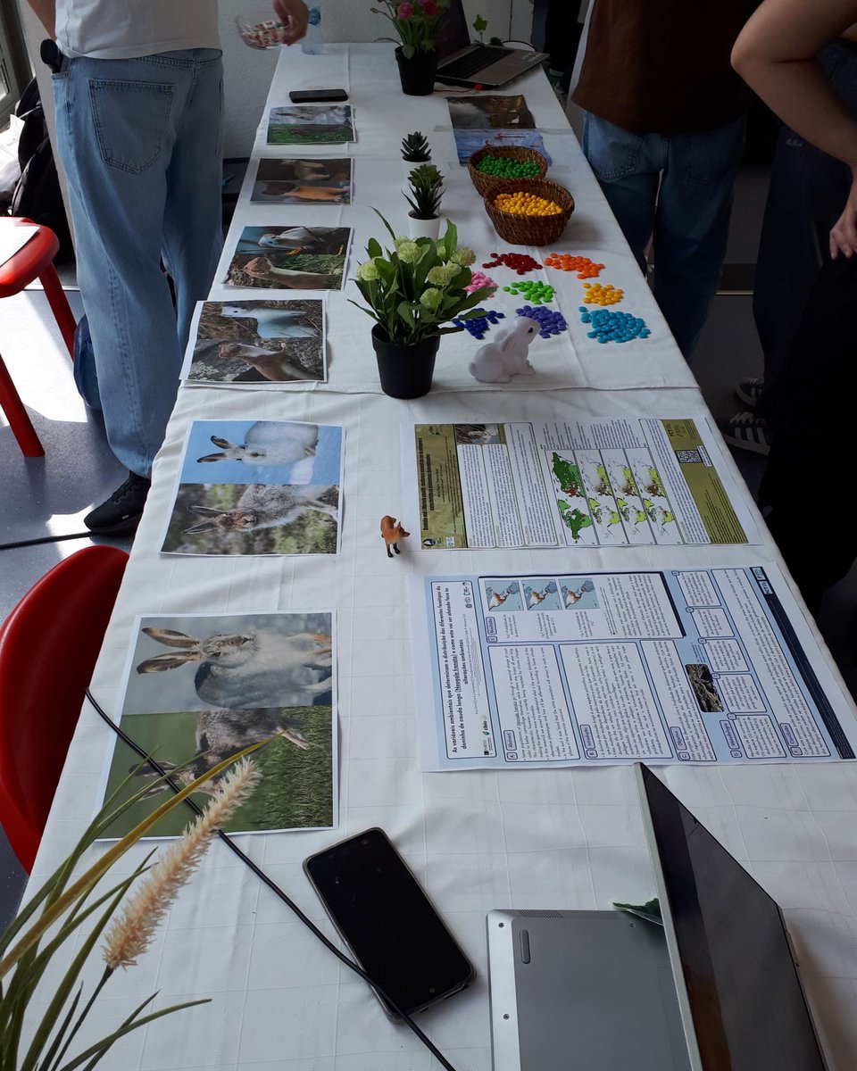 EVOCHANGE lab tweet media