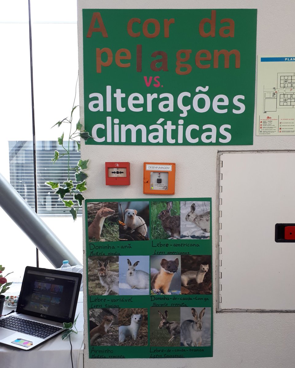 EVOCHANGE lab tweet media