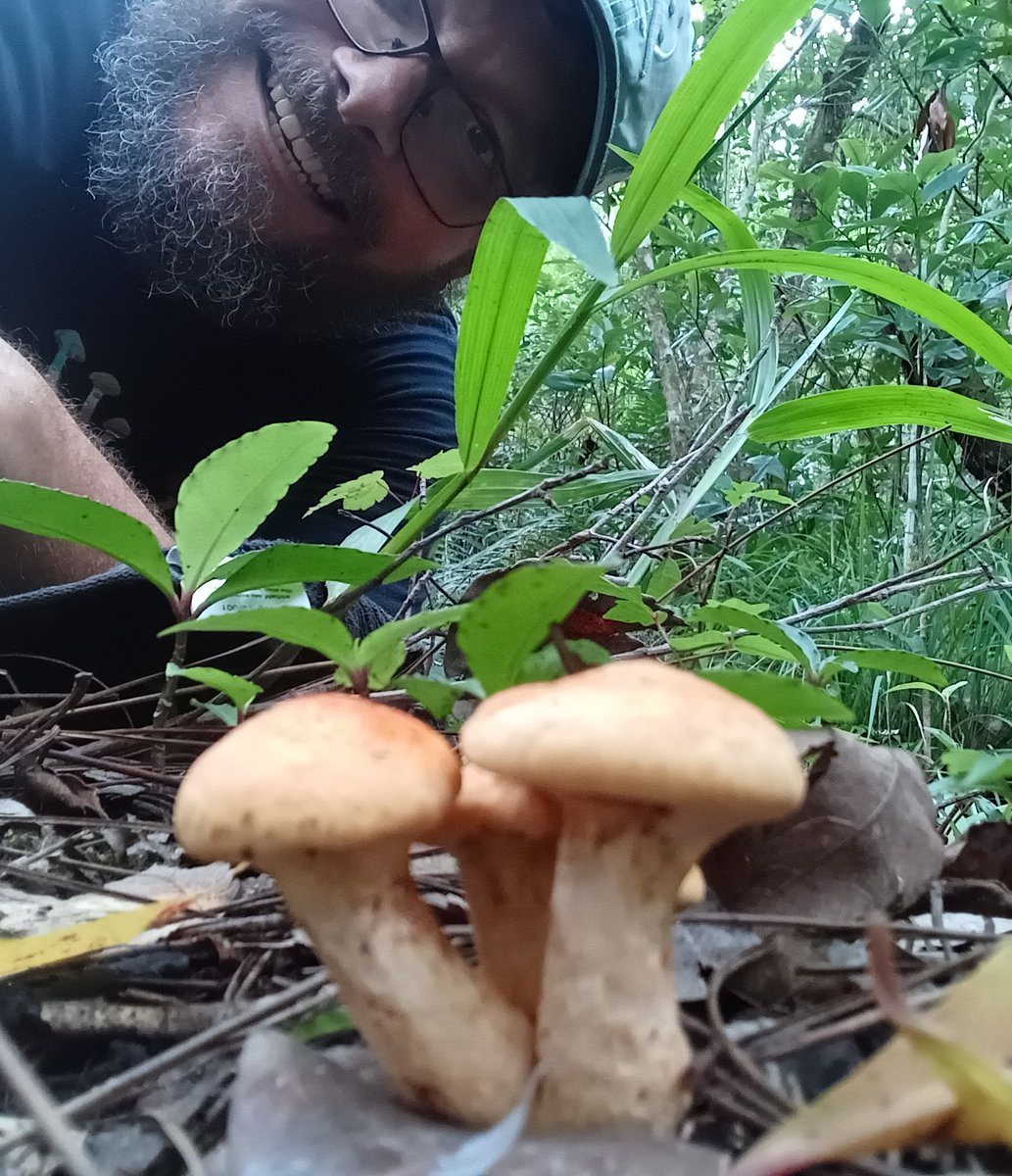 manton34's tweet photo. 🍄Mushroom Monday 🍄 https://t.co/z9ScUruc95