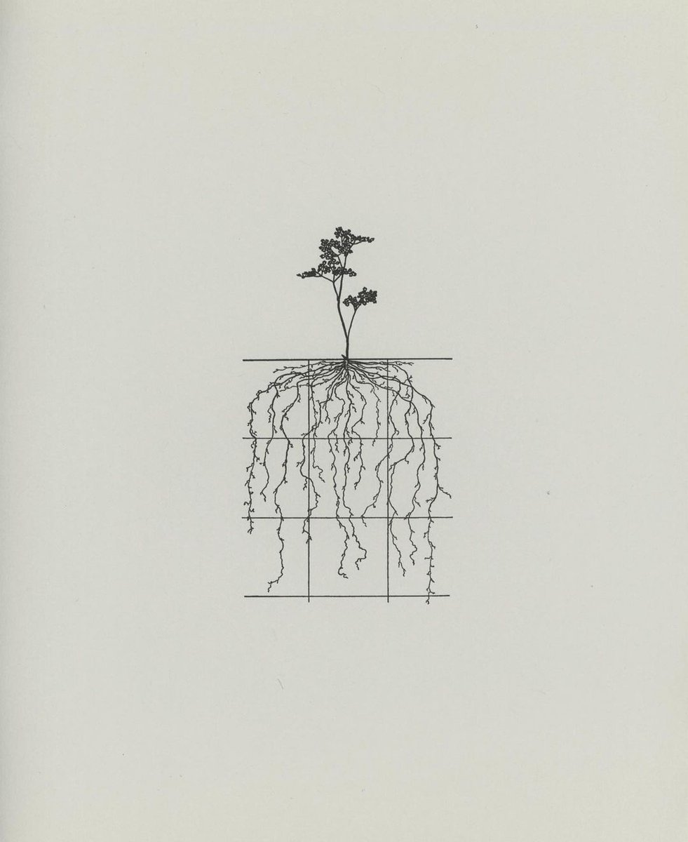 The 1975 (@the1975) on Twitter photo 