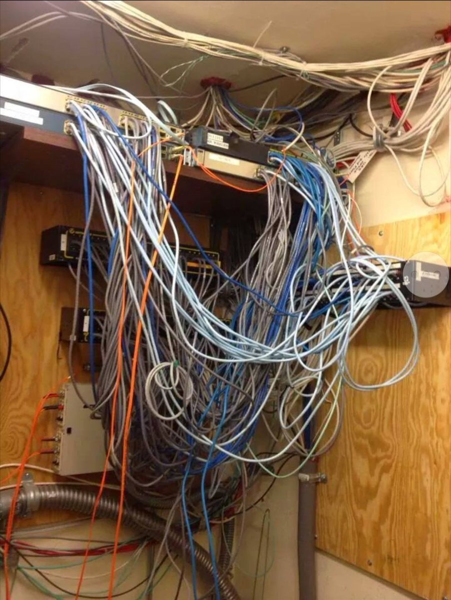 𝔅͛𝔯͛𝔦͛𝔞͛𝔫͛ ͛𝔚͛𝔥͛𝔢͛𝔩͛𝔱͛𝔬͛𝔫͛ tweet media