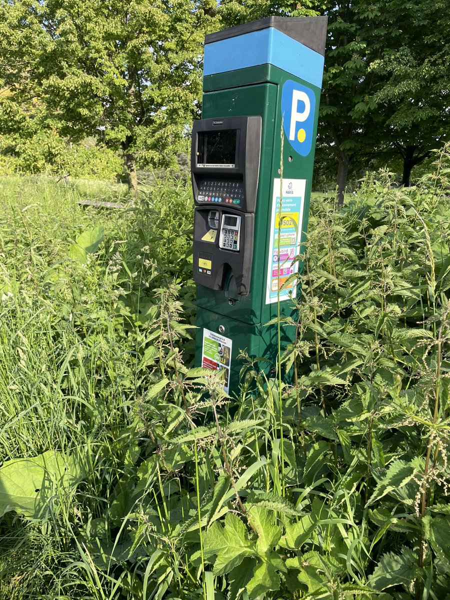 Faire payer le stationnement dans le bois avec hidalgo c'est gare aux orties….piqûre et Pv….merci #Plainedebagatelle #saccageparis #hidalgodemission