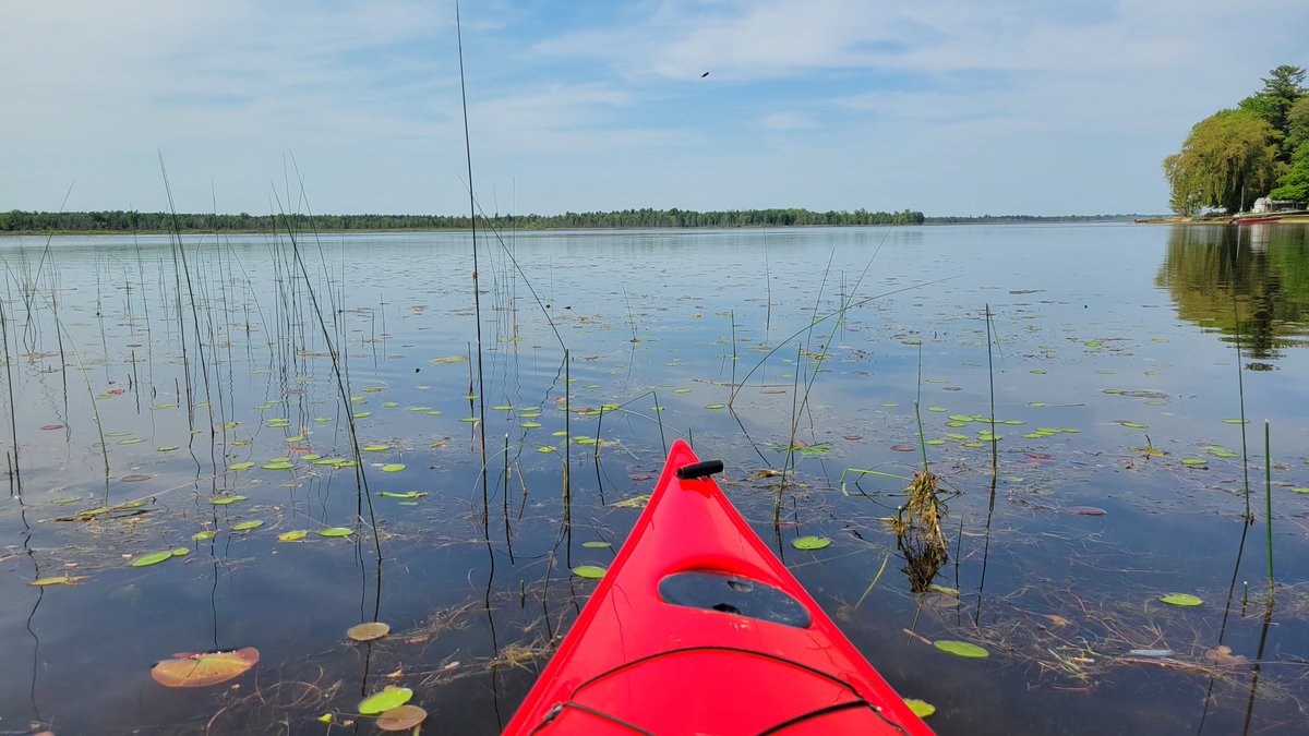 It's Great Lakes and Fresh Water Week! Celebrate by learning something new. Webinars are coming up on: 
💧 Harmful algal blooms
💧 Role of trees in shorelands
💧 Septic system protection
See our curated list at canr.msu.edu/michiganlakes/…
📸: Tawas Lake, Iosco Co. #MiGreatLakesWeek